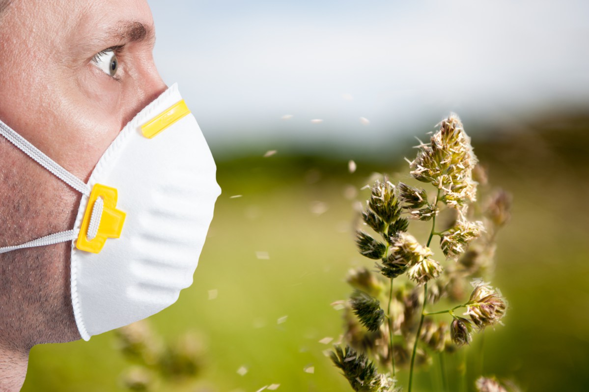 Come Curare Un Allergia Al Polline E I Legami Con I Polipi Nasali